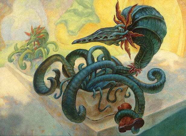 Sprouting Phytohydra