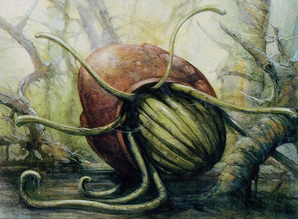 Thallid Shell-Dweller