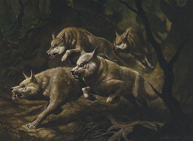 Howl of the Night Pack