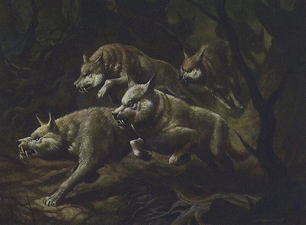 Howl of the Night Pack