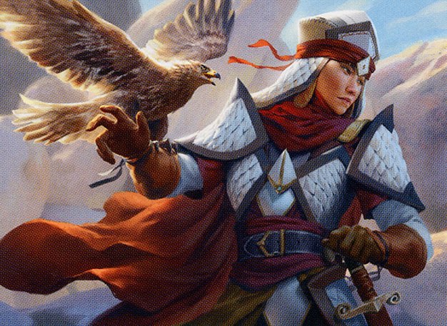 Falconer Adept