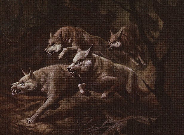 Howl of the Night Pack