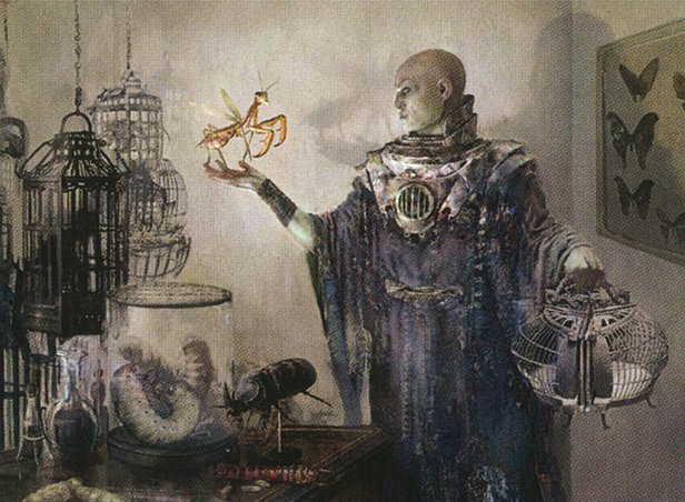 Delver of Secrets // Insectile Aberration