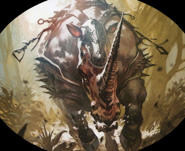 Rhino