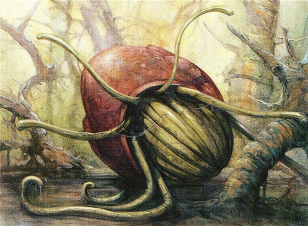 Thallid Shell-Dweller