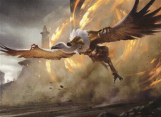 Watcher of the Roost