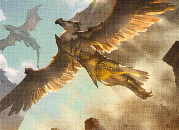 Watcher of the Roost