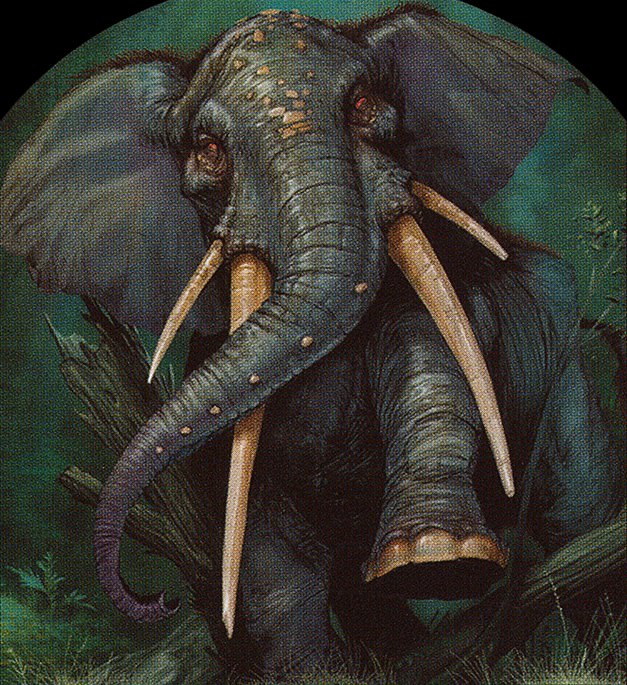 Elephant