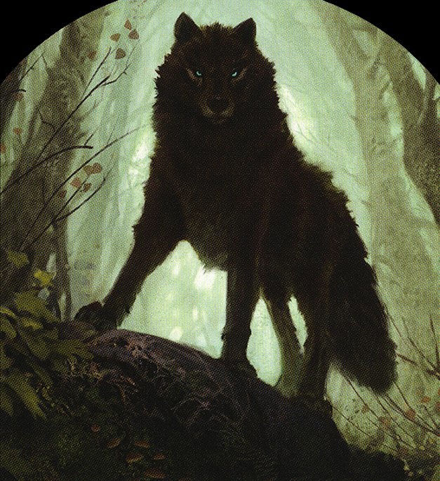Wolf