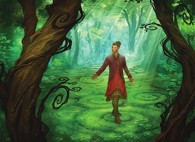 Sage of Shaila's Claim