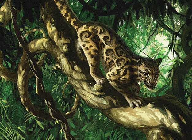 Aetherstream Leopard