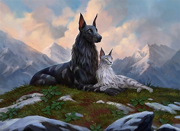 Rin and Seri, Inseparable