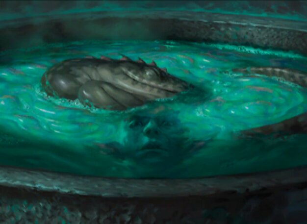 Pool of Vigorous Growth