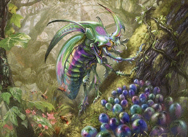 Iridescent Hornbeetle