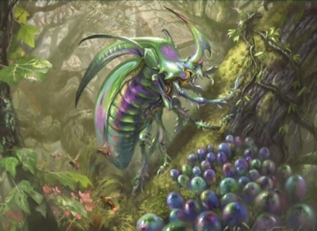 A-Iridescent Hornbeetle