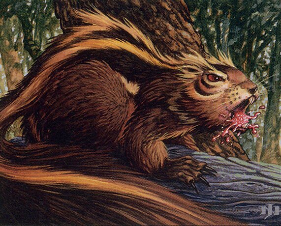 Chatter of the Squirrel