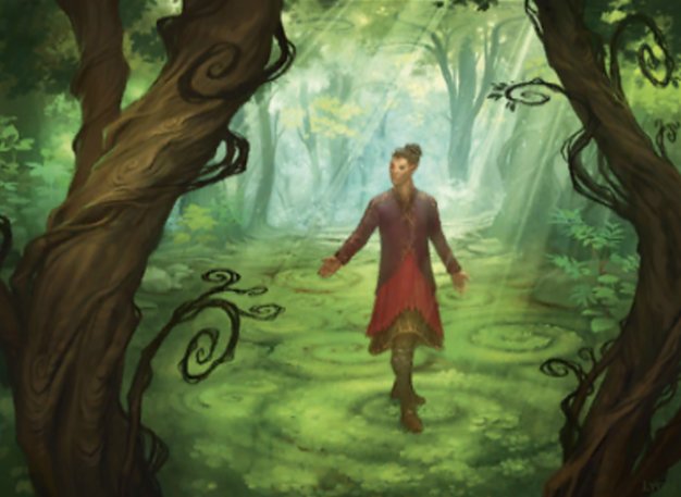 Sage of Shaila's Claim