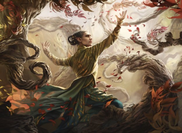 Servant of the Conduit