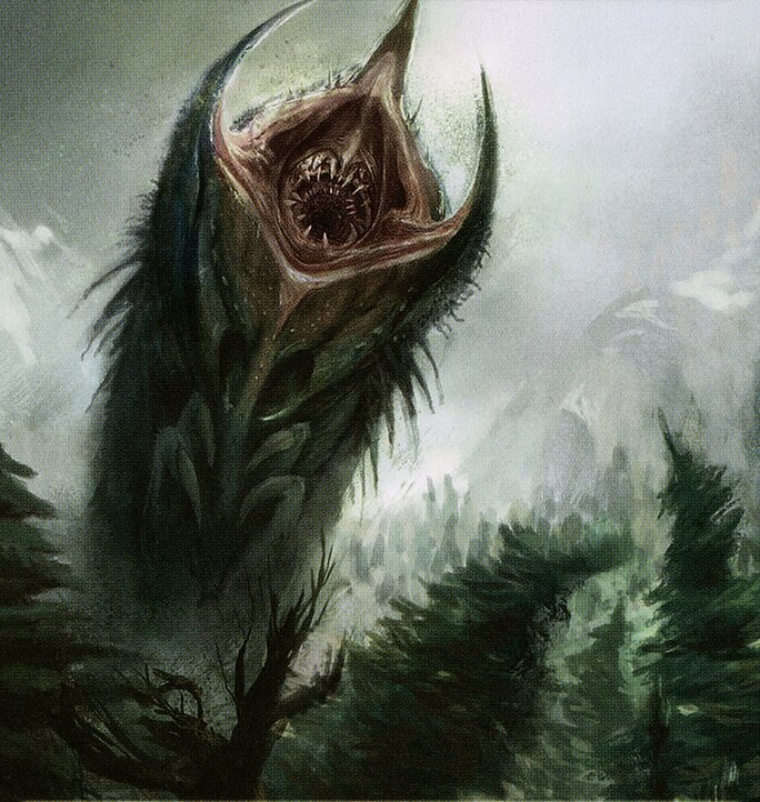 Wurm