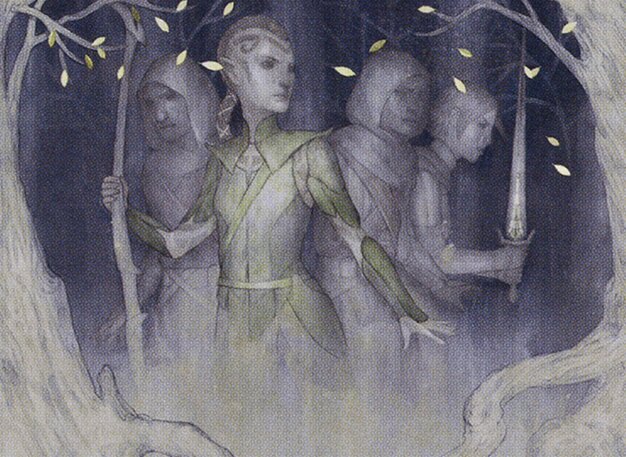 Scout the Wilderness