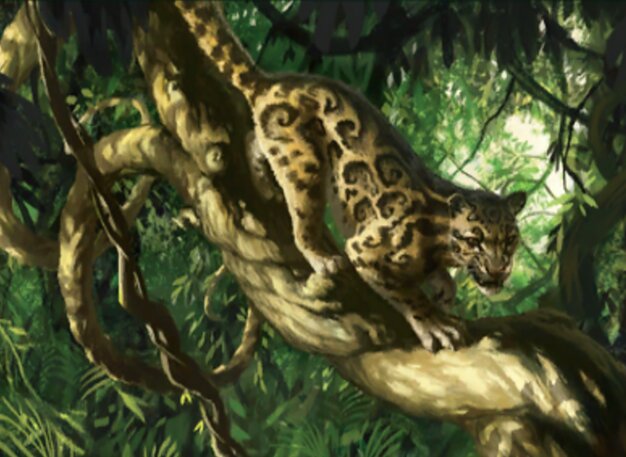 Aetherstream Leopard