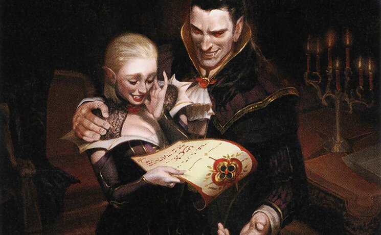 Wedding Announcement // Wedding Festivity