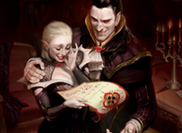 Wedding Announcement // Wedding Festivity