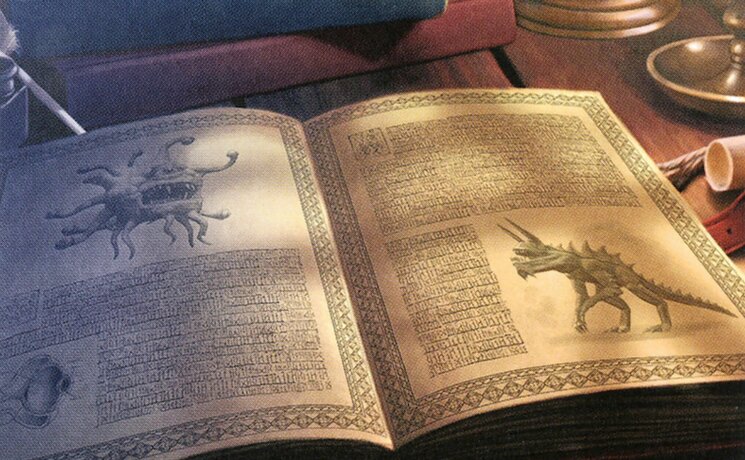 Monster Manual // Zoological Study