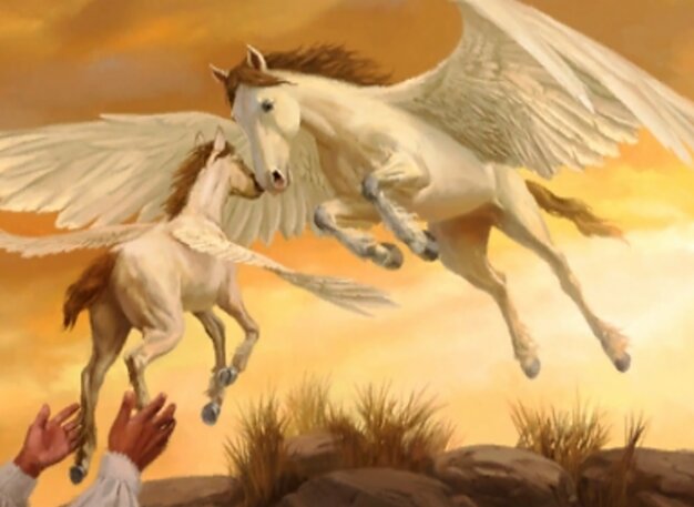 Pegasus Guardian // Rescue the Foal