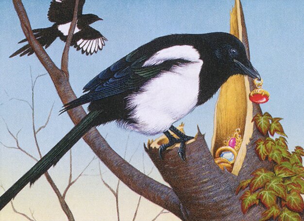Thieving Magpie