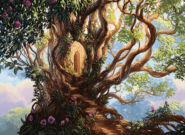 Branch of Vitu-Ghazi