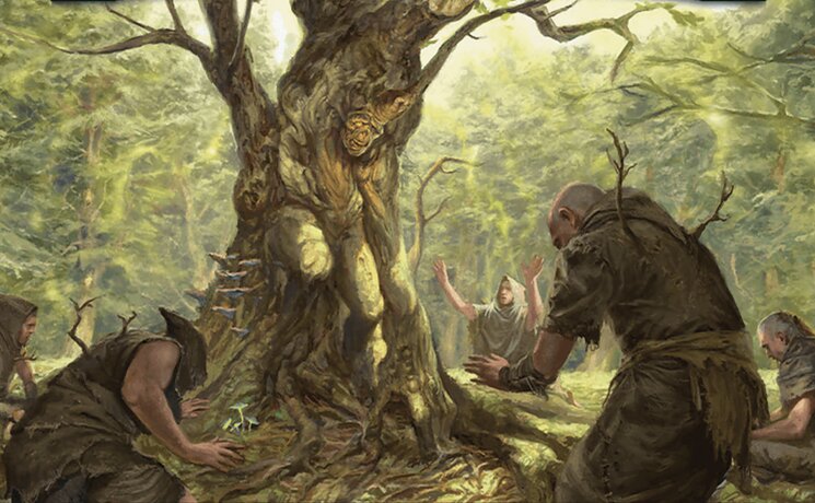 Harold and Bob, First Numens