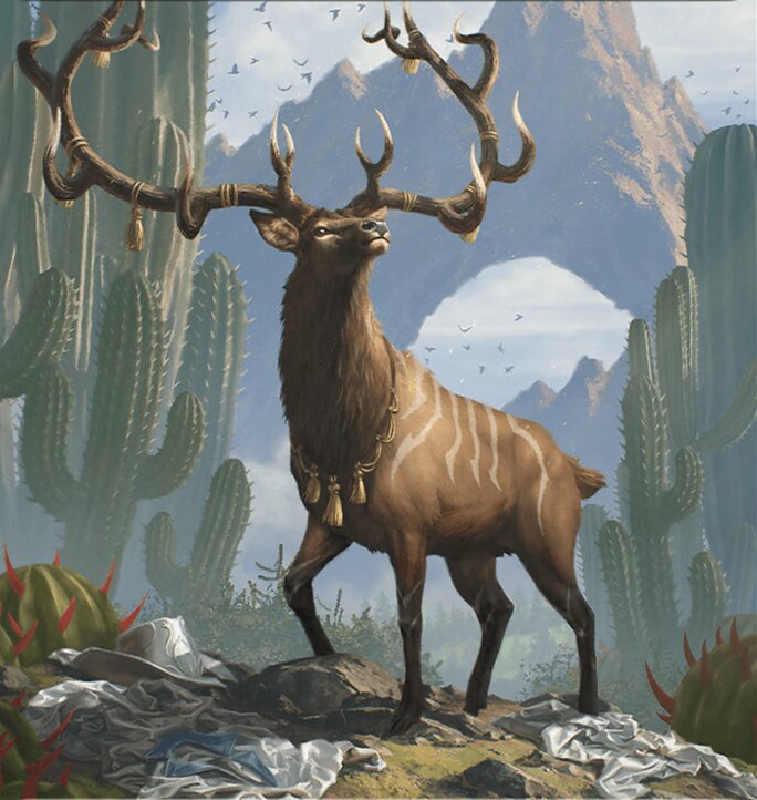 Elk