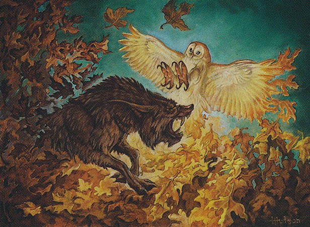 Fable of Wolf and Owl