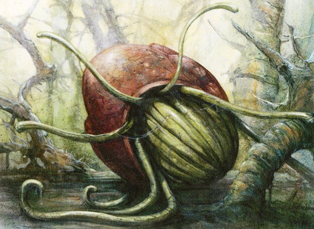 Thallid Shell-Dweller