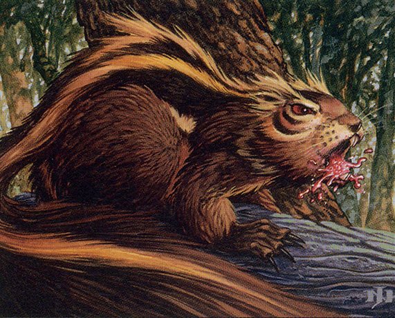 Chatter of the Squirrel