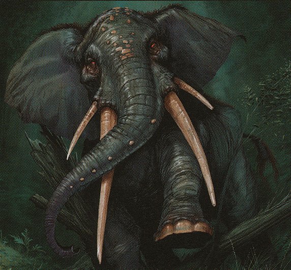Elephant