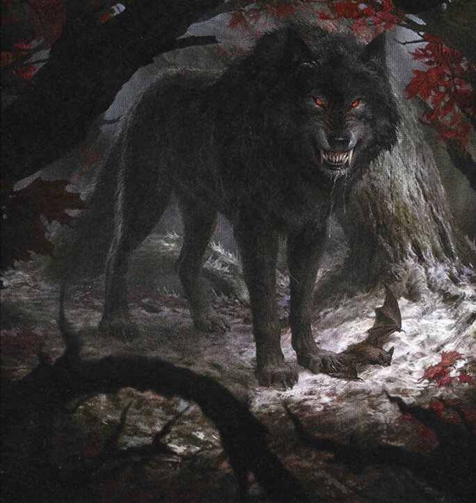 Wolf