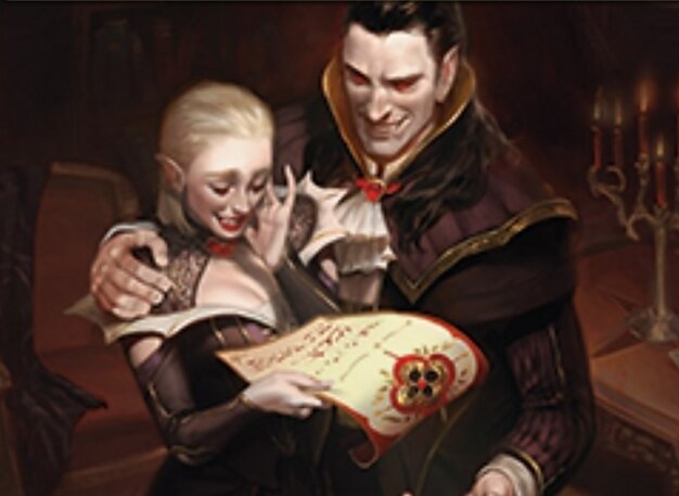 Wedding Announcement // Wedding Festivity