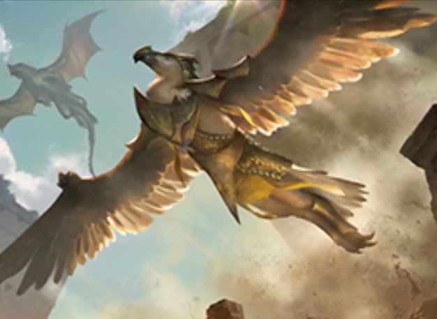 Watcher of the Roost